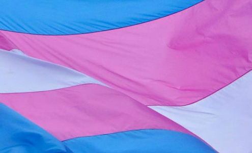 Trans-flag-3