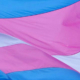 transgender flag 123455667