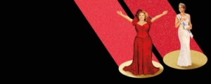 dumplin banner